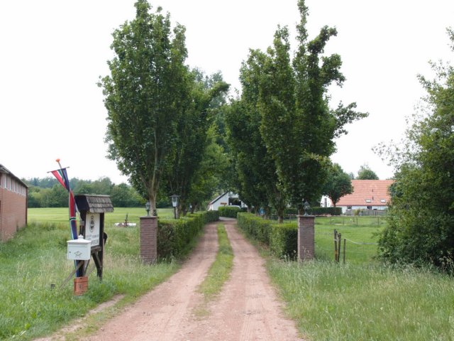 TerApel 092.jpg